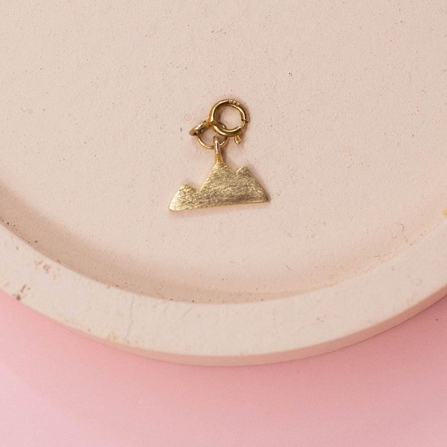 The Adventure Charms