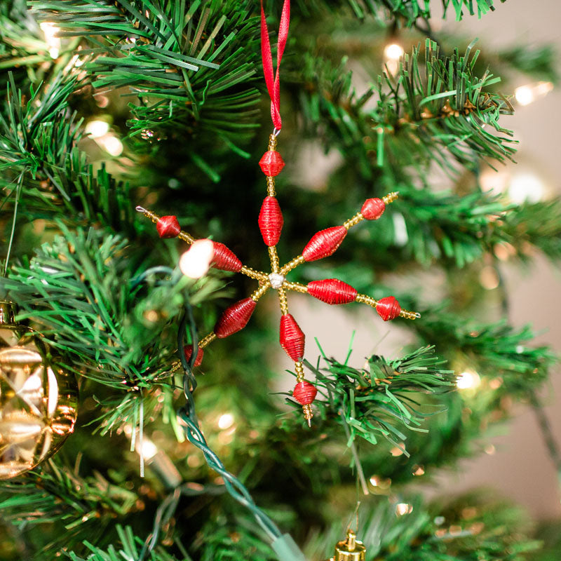 The Star Ornament